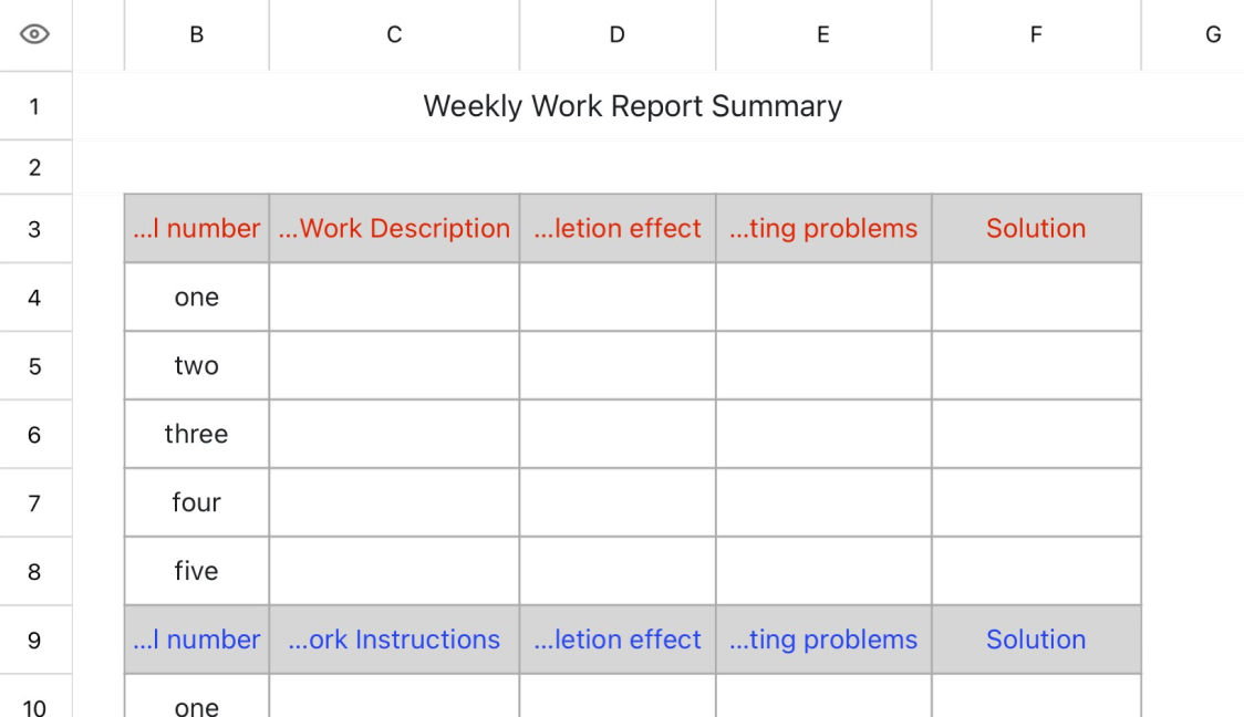 Weekly Work Report Summary